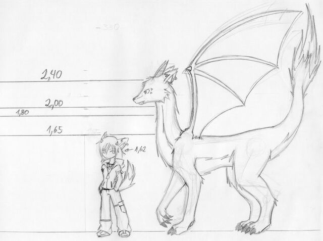 Archivo:Fichadragon.jpg