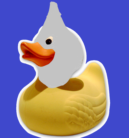 File:Kkk duck.png