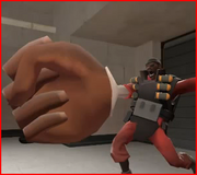 Seeman fist