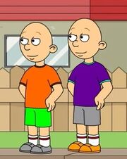 Paillou & raillou