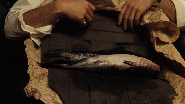 File:Fishes.png