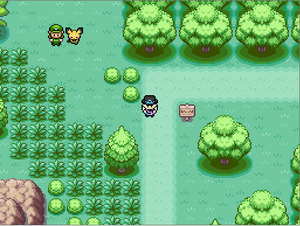 Route 20