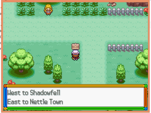 Route 5