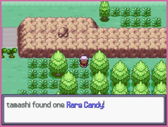File:Route 2 Rare Candy.jpg
