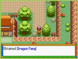 Nettle Town Dragon Fang