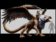 Griffin