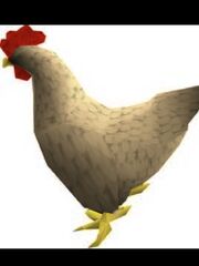 Chicken