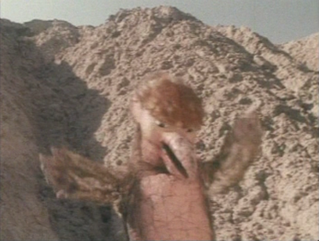 File:Totzaurusu.png