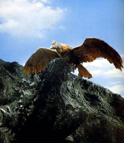 Arquivo:Condor002.jpg