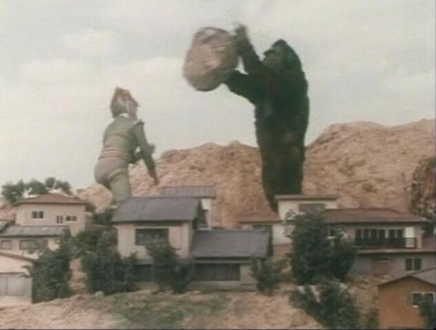 File:Gorilla Rock Throw.jpg