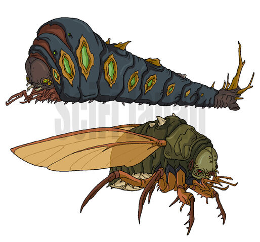 File:Megapede and Cicada.jpg