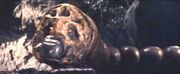 Modra-Insel 4.jpg