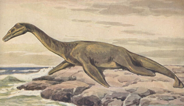 File:800px-Plesiosaur on land.jpg
