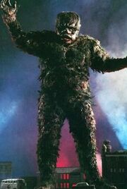 Gaira