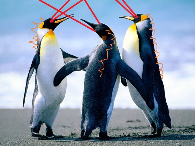 File:Penguinas.jpg