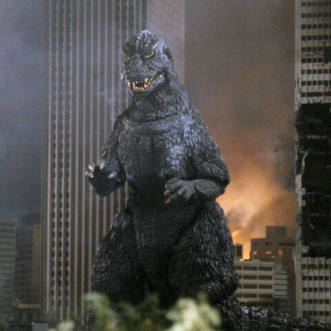 File:84Goji 0.jpg