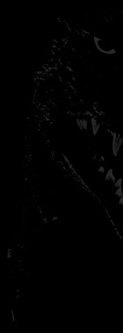 File:Godzilla.jp Background.jpg