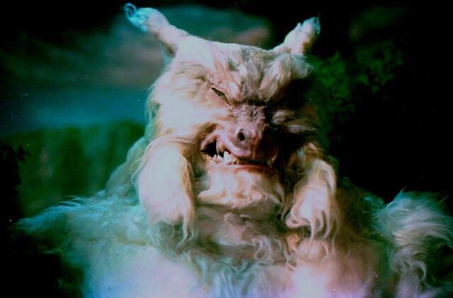 File:Wolfmancloseup.jpg