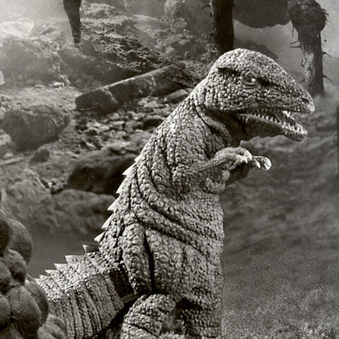 File:Gorosaurus 1.jpg