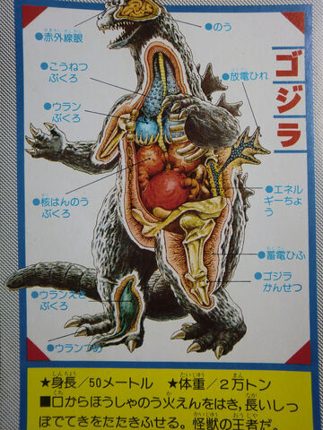 File:Godzilla Kabou Zukan Anatomy.jpg