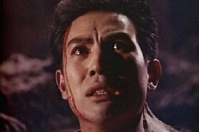 File:Shigeru's close-up.jpg