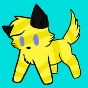 GoldieBear -5