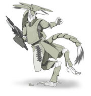 FirstSergal