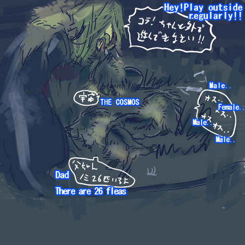 File:Yc.png
