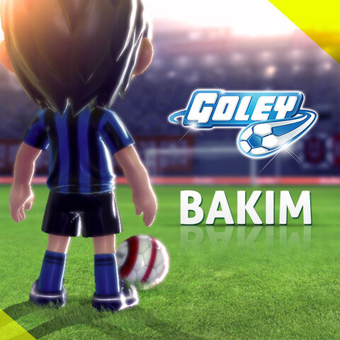 File:Bakım.jpg