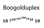 Boogolduplex.jpg