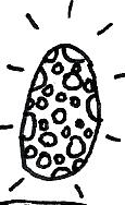 MagicOpal