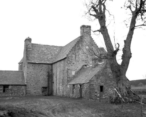 File:Davidston-7.jpg