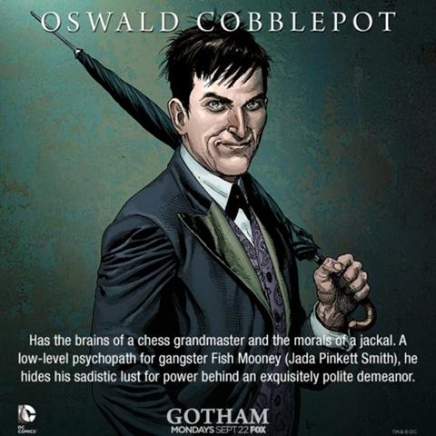 Cat And Bruce Gotham Shipping Name Cat And Bruce Gotham Shipping Name