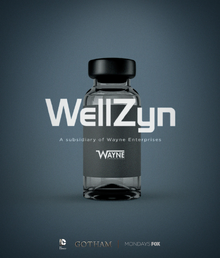 WellZyn promotional.png