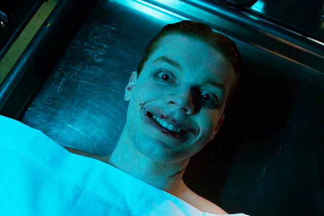 Datei:Gotham 2x03.jpg