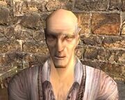 Constantino