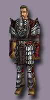 Ruestung von ravens garde