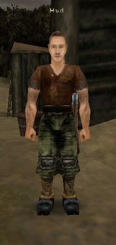 Soubor:Mud.jpg