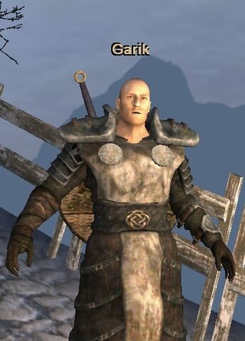 Soubor:Garik.jpg