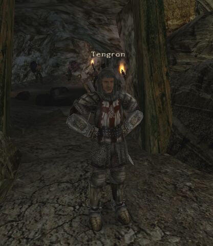 Soubor:Tengron.jpg