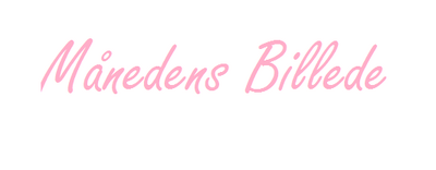 Månedens Billede