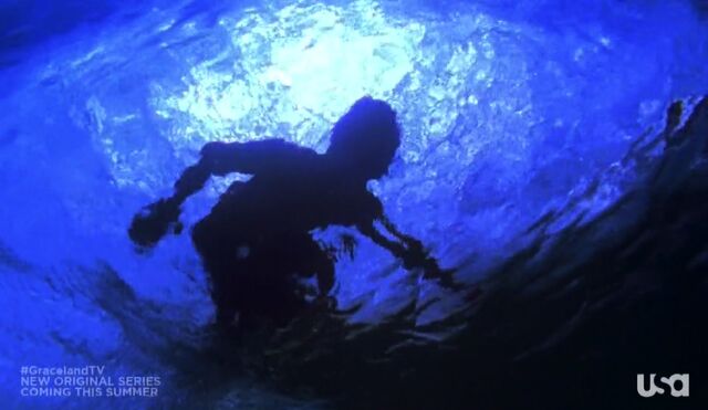 File:1x01-Surfer.jpg