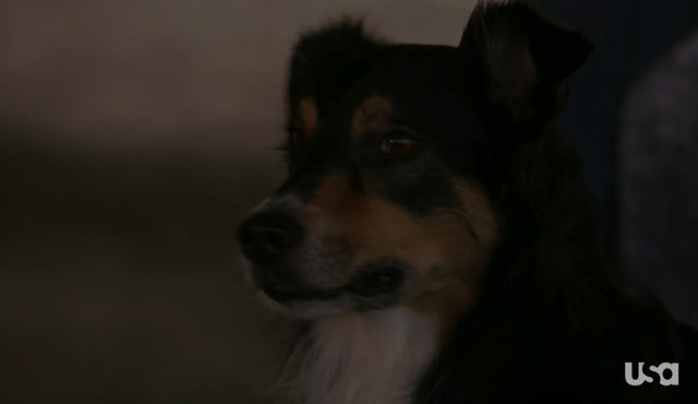 File:1x05-BD.png