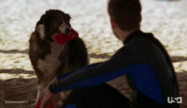 File:1x01-MikeBD.png
