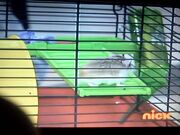IMG068.jpg