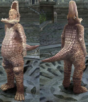 ElementM Croc