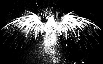 Hawkpirateflag-inverted