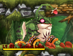 Decoy.png