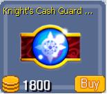 Cash Guard Anklet