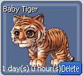BabyTiger